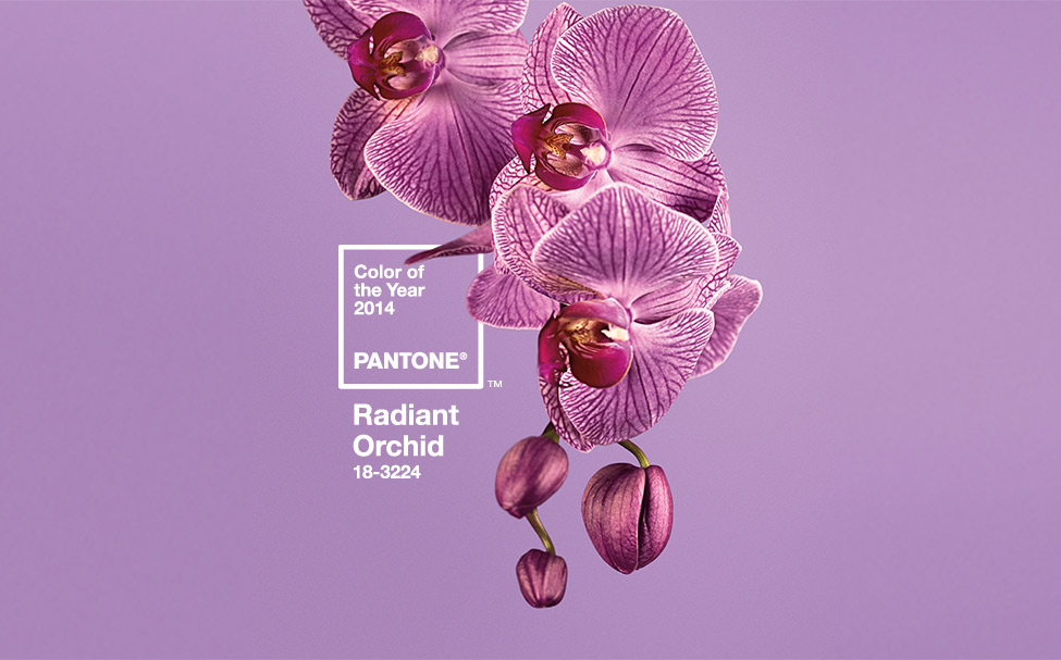 Pantone color of the year 2014