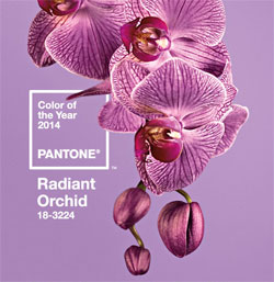 445291-Pantone_Color_of_the_Year_2014_Radiant_Orchid