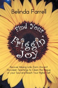 Find Your Friggin Joy cover