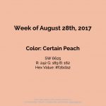 August 28th 2017 - Color of the Week is Certain Peach