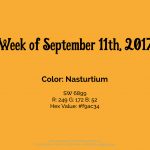 Color for the Week of September 11th 2017