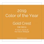 Color of the Year - 2019
