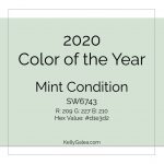 2020 Color of the Year