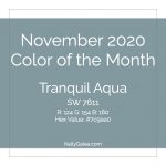 Color of the Month - November 2020