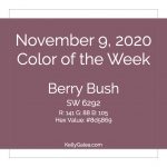 Color of the Week - November 9 2020