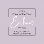 Color of the Year - 2023