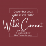 Color of the Month - December 2023