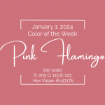 Color of the Week - January 1 2024